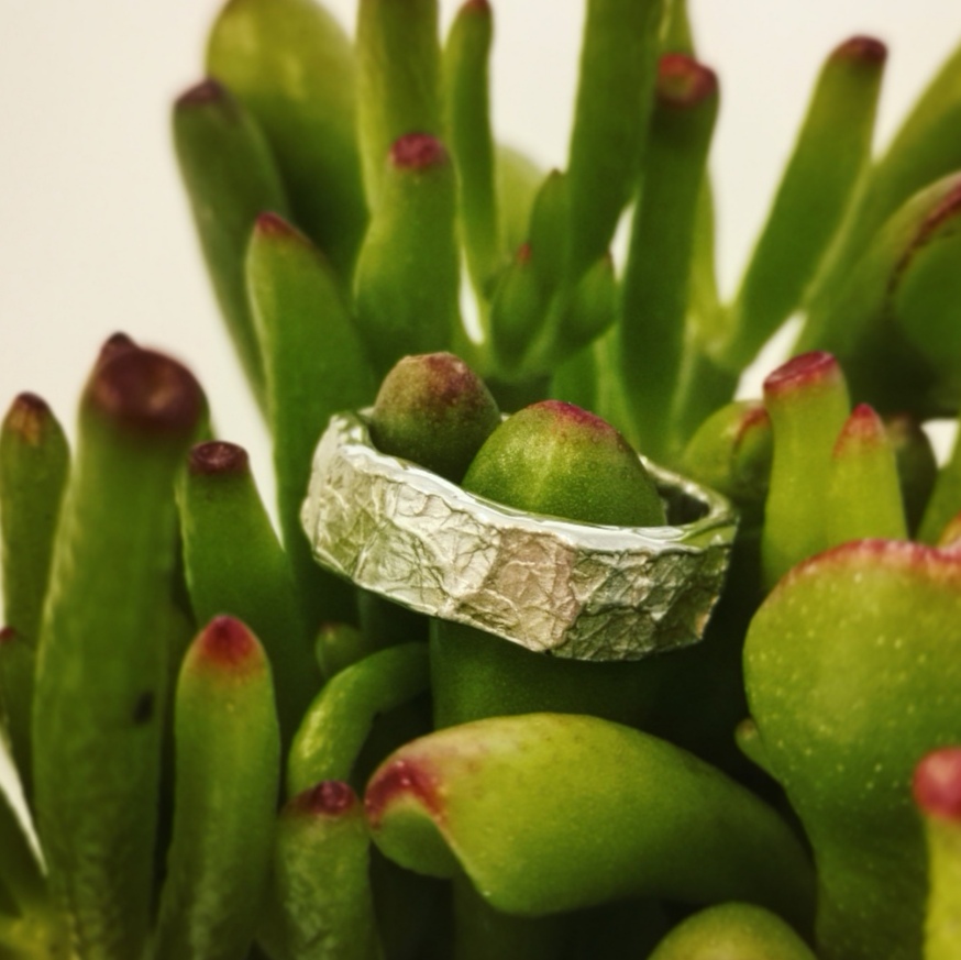 Brede zilveren herenring met ruwe structuur tussen groene vetplanten